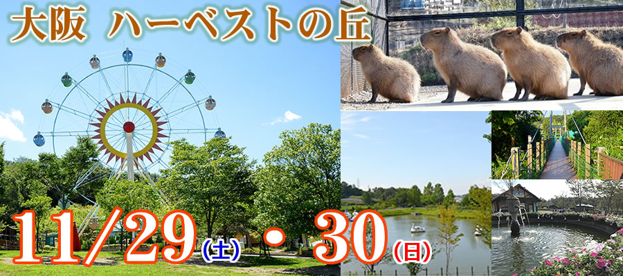 11/29,30ＣＯＳＪＯＹ大阪 ハーベストの丘