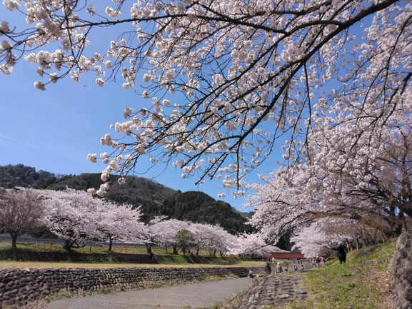 4/5 麗Yer'sイベント