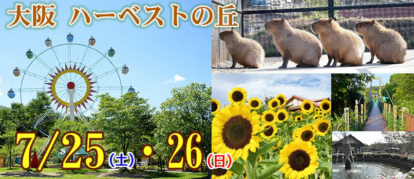 7月25日,26日　ＣＯＳＪＯＹ大阪 ハーベストの丘
