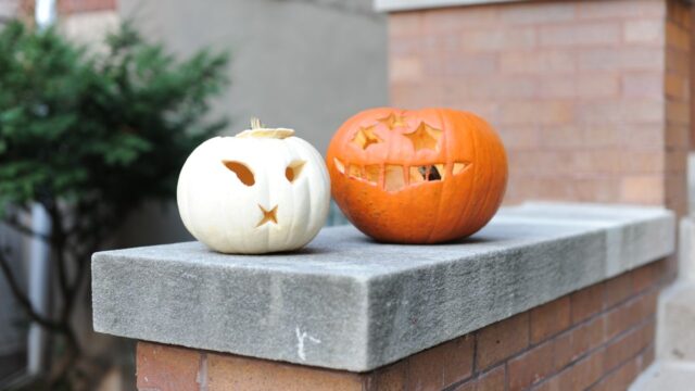 白とオレンジのかぼちゃで作ったハロウィンの飾り