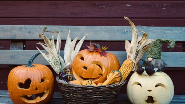 木のベンチに並ぶかぼちゃとハロウィンの飾り